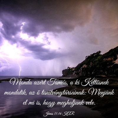 Picture 03 - János 11:16 KAR - Monda azért Tamás, a ki Kettõsnek mondatik, az - Bible Verse Picture