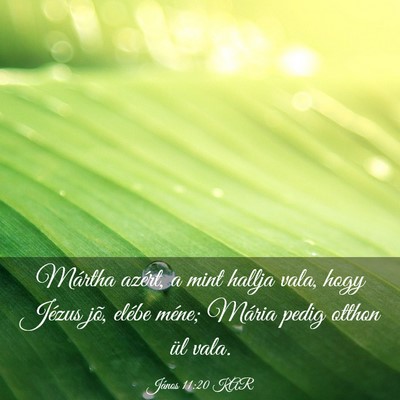 Picture 03 - János 11:20 KAR - Mártha azért, a mint hallja vala, hogy Jézus - Bible Verse Picture