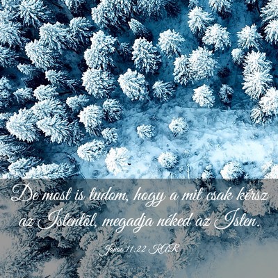 Picture 03 - János 11:22 KAR - De most is tudom, hogy a mit csak kérsz az - Bible Verse Picture
