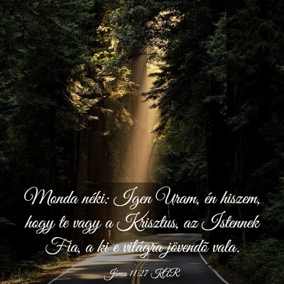 Picture 03 - János 11:27 KAR - Monda néki: Igen Uram, én hiszem, hogy te vagy - Bible Verse Picture