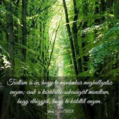 Picture 03 - János 11:42 KAR - Tudtam is én, hogy te mindenkor meghallgatsz - Bible Verse Picture