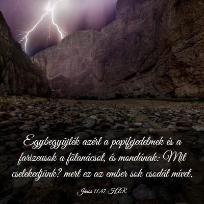 Picture 03 - János 11:47 KAR - Egybegyûjték azért a papifejedelmek és a - Bible Verse Picture