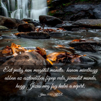 Picture 03 - János 11:51 KAR - Ezt pedig nem magától mondta: hanem mivelhogy - Bible Verse Picture