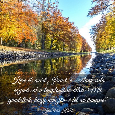 Picture 03 - János 11:56 KAR - Keresék azért Jézust, és szólnak vala - Bible Verse Picture