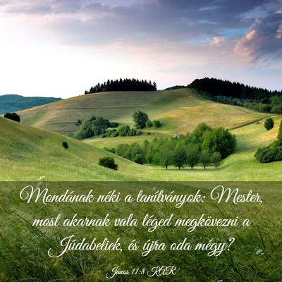 Picture 03 - János 11:8 KAR - Mondának néki a tanítványok: Mester, most - Bible Verse Picture