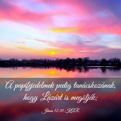 Picture 03 - János 12:10 KAR - A papifejedelmek pedig tanácskozának, hogy - Bible Verse Picture