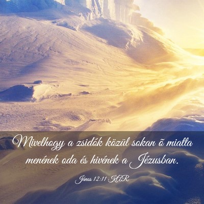 Picture 03 - János 12:11 KAR - Mivelhogy a zsidók közül sokan õ miatta - Bible Verse Picture