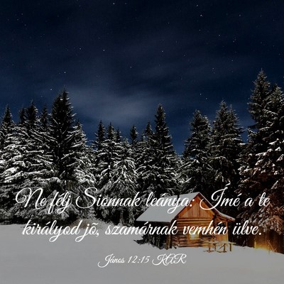 Picture 03 - János 12:15 KAR - Ne félj Sionnak leánya: Ímé a te királyod - Bible Verse Picture