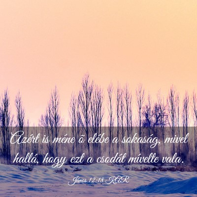 Picture 03 - János 12:18 KAR - Azért is méne õ elébe a sokaság, mivel - Bible Verse Picture