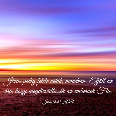 Picture 03 - János 12:23 KAR - Jézus pedig felele nékik, mondván: Eljött az - Bible Verse Picture