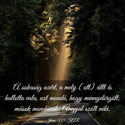 Picture 03 - János 12:29 KAR - A sokaság azért, a mely [ott] állt és - Bible Verse Picture