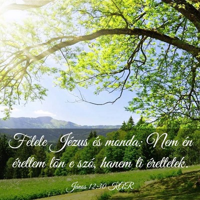 Picture 03 - János 12:30 KAR - Felele Jézus és monda: Nem én érettem lõn e - Bible Verse Picture
