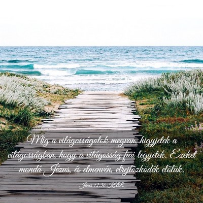 Picture 03 - János 12:36 KAR - Míg a világosságotok megvan, higyjetek a - Bible Verse Picture
