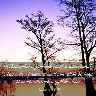 Picture 03 - János 12:42 KAR - Mindazáltal a fõemberek közül is sokan - Bible Verse Picture