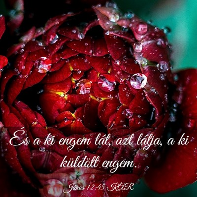 Picture 03 - János 12:45 KAR - És a ki engem lát, azt látja, a ki küldött - Bible Verse Picture
