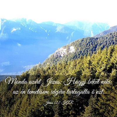 Picture 03 - János 12:7 KAR - Monda azért Jézus: Hagyj békét néki; az én - Bible Verse Picture