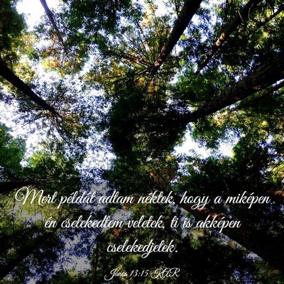 Picture 03 - János 13:15 KAR - Mert példát adtam néktek, hogy a miképen én - Bible Verse Picture