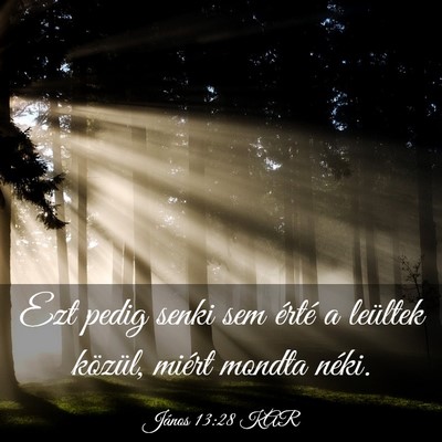 Picture 03 - János 13:28 KAR - Ezt pedig senki sem érté a leültek közül, - Bible Verse Picture