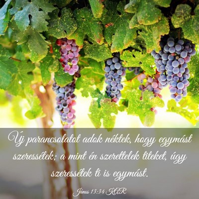 Picture 03 - János 13:34 KAR - Új parancsolatot adok néktek, hogy egymást - Bible Verse Picture