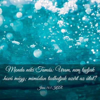 Picture 03 - János 14:5 KAR - Monda néki Tamás: Uram, nem tudjuk hová mégy; - Bible Verse Picture