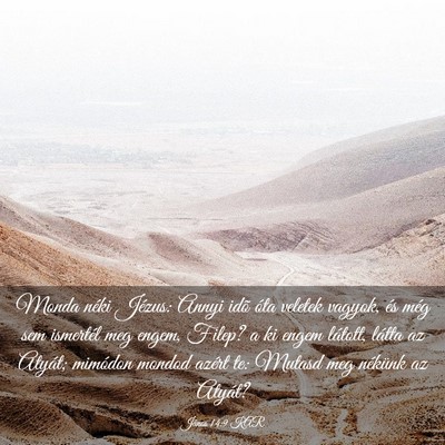 Picture 03 - János 14:9 KAR - Monda néki Jézus: Annyi idõ óta veletek - Bible Verse Picture