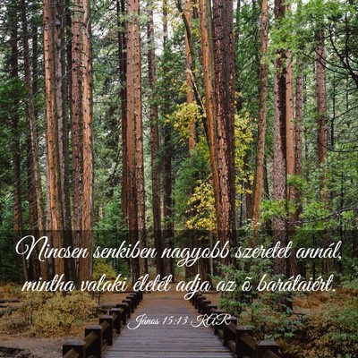 Picture 03 - János 15:13 KAR - Nincsen senkiben nagyobb szeretet annál, mintha - Bible Verse Picture