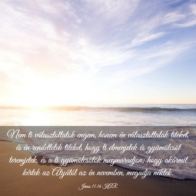 Picture 03 - János 15:16 KAR - Nem ti választottatok engem, hanem én - Bible Verse Picture