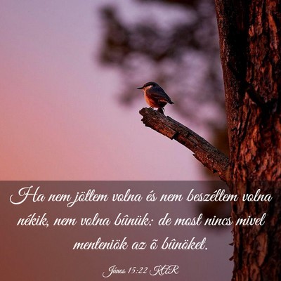 Picture 03 - János 15:22 KAR - Ha nem jöttem volna és nem beszéltem volna - Bible Verse Picture