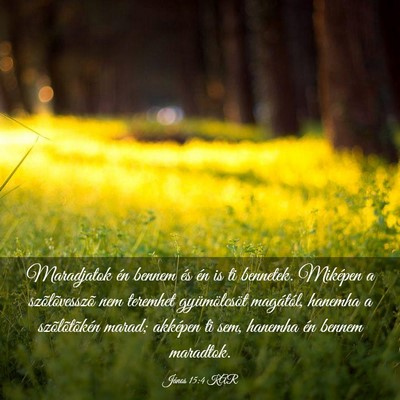 Picture 03 - János 15:4 KAR - Maradjatok én bennem és én is ti bennetek. - Bible Verse Picture