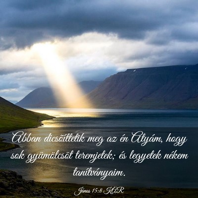 Picture 03 - János 15:8 KAR - Abban dicsõíttetik meg az én Atyám, hogy sok - Bible Verse Picture