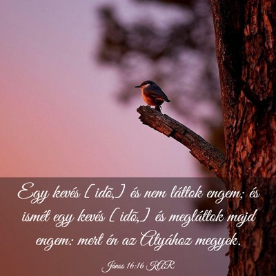 Picture 03 - János 16:16 KAR - Egy kevés [idõ,] és nem láttok engem; és - Bible Verse Picture