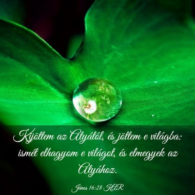 Picture 03 - János 16:28 KAR - Kijöttem az Atyától, és jöttem e világba: - Bible Verse Picture
