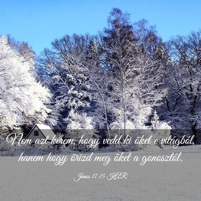 Picture 03 - János 17:15 KAR - Nem azt kérem, hogy vedd ki õket e világból, - Bible Verse Picture