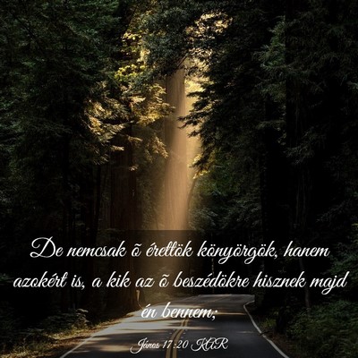 Picture 03 - János 17:20 KAR - De nemcsak õ érettök könyörgök, hanem - Bible Verse Picture