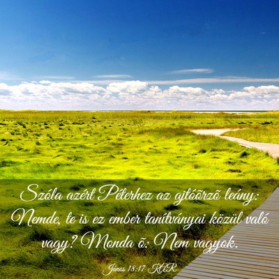 Picture 03 - János 18:17 KAR - Szóla azért Péterhez az ajtóõrzõ leány: - Bible Verse Picture