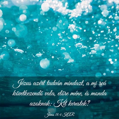 Picture 03 - János 18:4 KAR - Jézus azért tudván mindazt, a mi reá - Bible Verse Picture
