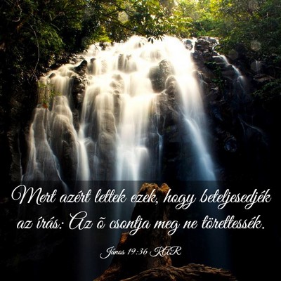 Picture 03 - János 19:36 KAR - Mert azért lettek ezek, hogy beteljesedjék az - Bible Verse Picture