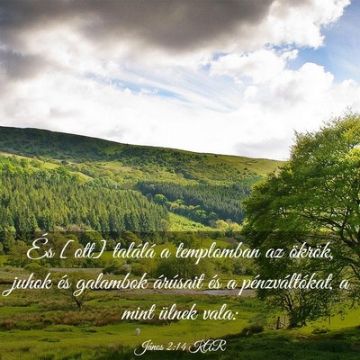 Picture 03 - János 2:14 KAR - És [ott] találá a templomban az ökrök, juhok - Bible Verse Picture