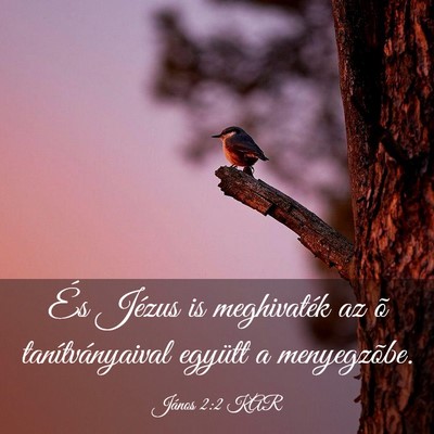 Picture 03 - János 2:2 KAR - És Jézus is meghivaték az õ tanítványaival - Bible Verse Picture