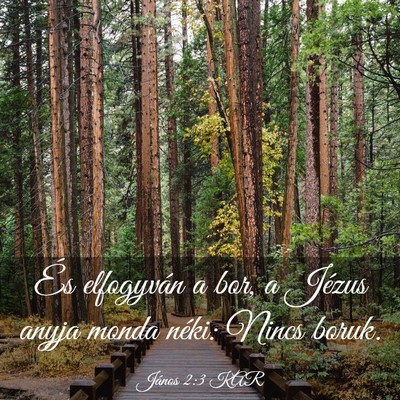 Picture 03 - János 2:3 KAR - És elfogyván a bor, a Jézus anyja monda néki: - Bible Verse Picture