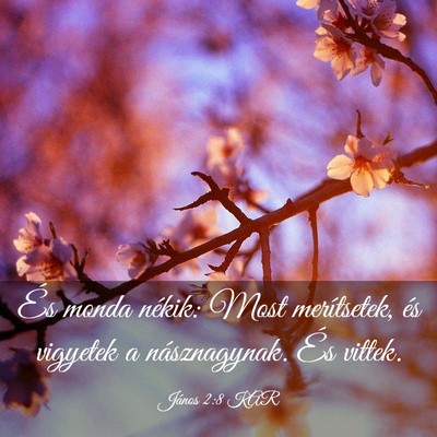 Picture 03 - János 2:8 KAR - És monda nékik: Most merítsetek, és vigyetek - Bible Verse Picture