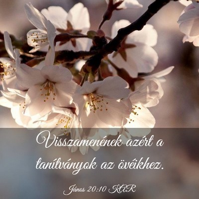 Picture 03 - János 20:10 KAR - Visszamenének azért a tanítványok az - Bible Verse Picture