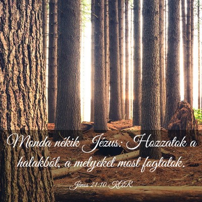 Picture 03 - János 21:10 KAR - Monda nékik Jézus: Hozzatok a halakból, a - Bible Verse Picture