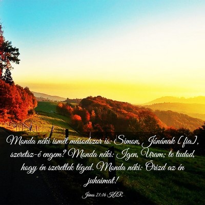 Picture 03 - János 21:16 KAR - Monda néki ismét másodszor is: Simon, - Bible Verse Picture