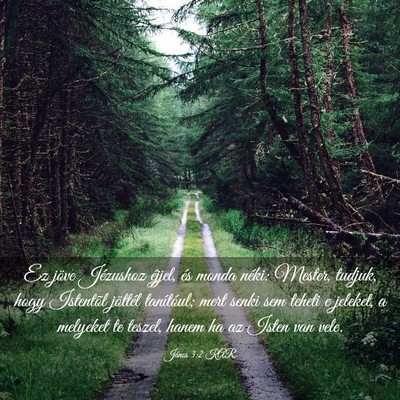 Picture 03 - János 3:2 KAR - Ez jöve Jézushoz éjjel, és monda néki: - Bible Verse Picture