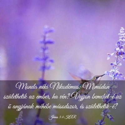 Picture 03 - János 3:4 KAR - Monda néki Nikodémus: Mimódon születhetik az - Bible Verse Picture