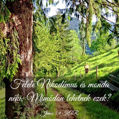 Picture 03 - János 3:9 KAR - Felele Nikodémus és monda néki: Mimódon - Bible Verse Picture