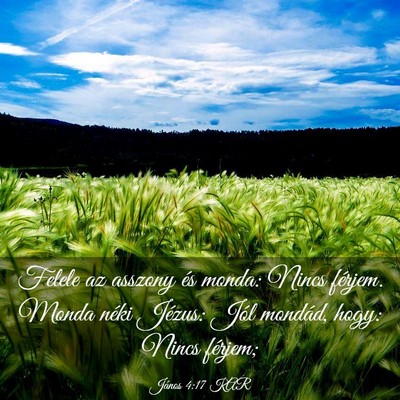 Picture 03 - János 4:17 KAR - Felele az asszony és monda: Nincs férjem. Monda - Bible Verse Picture