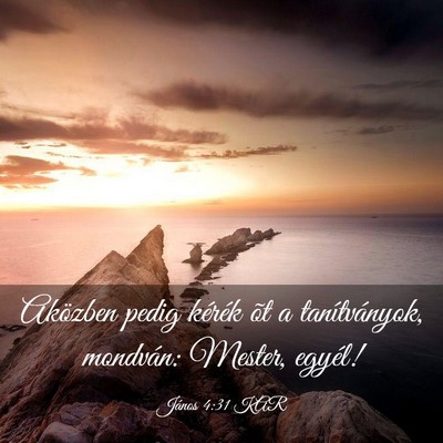 Picture 03 - János 4:31 KAR - Aközben pedig kérék õt a tanítványok, - Bible Verse Picture