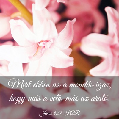Picture 03 - János 4:37 KAR - Mert ebben az a mondás igaz, hogy más a vetõ, - Bible Verse Picture